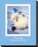Hard-To-Pet