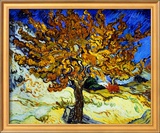 Mulberry Tree  c1889