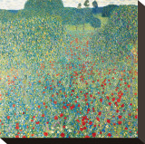 Poppy Meadow  c1907