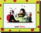Baby Bugs