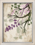 Lavender and Sage Florish II