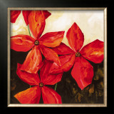 Red Passion I