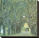 Avenue Before Room  Schlob Park  c1912