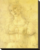 Drawing of a Woman