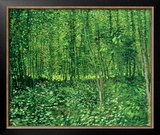 Woods and Undergrowth  c1887