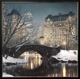 Twilight in Central Park