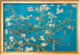 Almond Branches in Bloom  San Remy  c1890