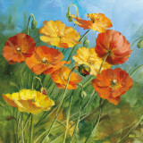Summer Field IV