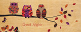 Good Night Owl