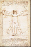 Vitruvius Man