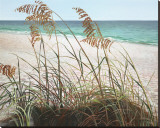 Sea Oats