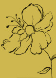 Yellow Flower
