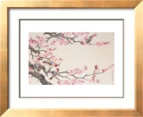 Singing Birds in Spring