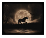 Unicorn Dreams