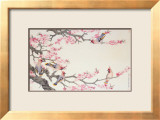 Singing Birds in Spring