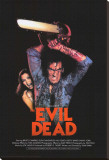 The Evil Dead