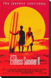 Endless Summer 2