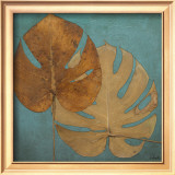 Dry Balazo in Blue II