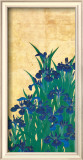 Irises  Japanese