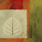 Leaf Silhouette I