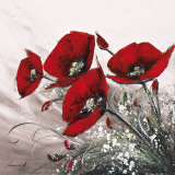 Bouquet de Coquelicots II