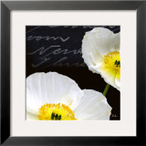 Poppies Over Black I