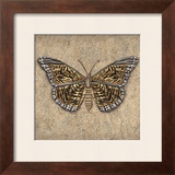 Tiger Butterfly