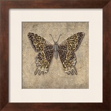 Leopard Butterfly