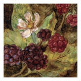 Red Berries And Blossom