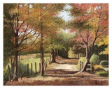 Autumn Country Road