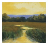 Yellow Sky Stream