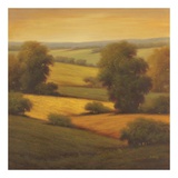 Amber Outlook II