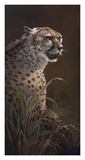 The Silent Hunter