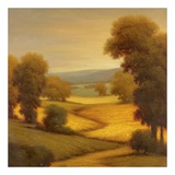 Amber Outlook I