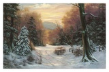Snow Covered Morning