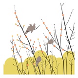 Morning Doves II