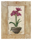 Words And Flowers l