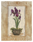 Words And Flowers ll