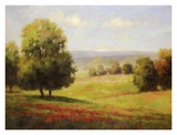 Red Meadow II