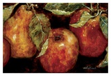 Summer Fruit