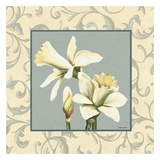 Daffodils With Scroll