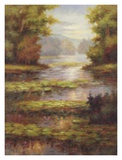 Lily Pond