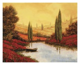 Silenzio Tra I Cipressi