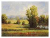 Red Meadow I