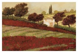 Apapaveri Toscana I