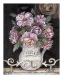 Camellias of Paris