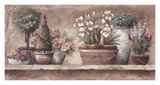 Antique Blooms