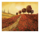 La Colina Dei Papaveri