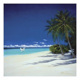 The Beach