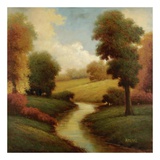 Ancienne Riviere I